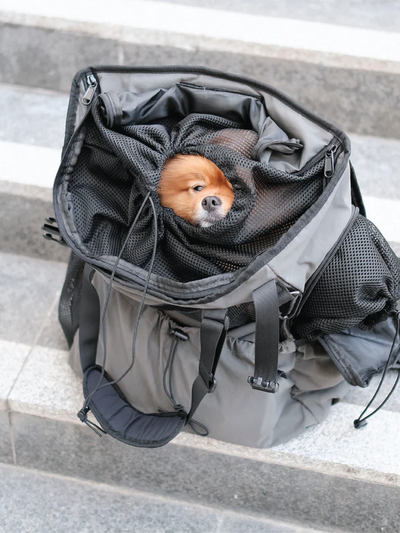 Mongster | Fashion. Lightweight Multipurpose Pet Backpack