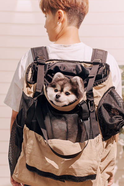 Mongster | 時尚．輕便多用途寵物背包