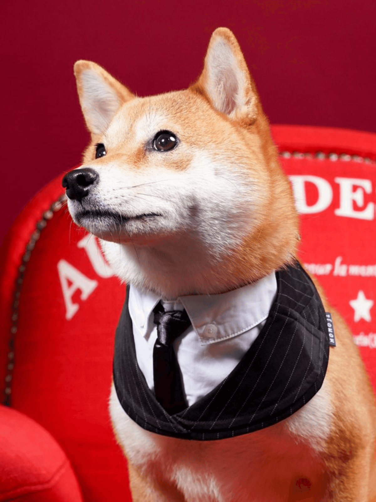 Momoji | Des Voeux 系列寵物圍兜 - RUFF & FETCH