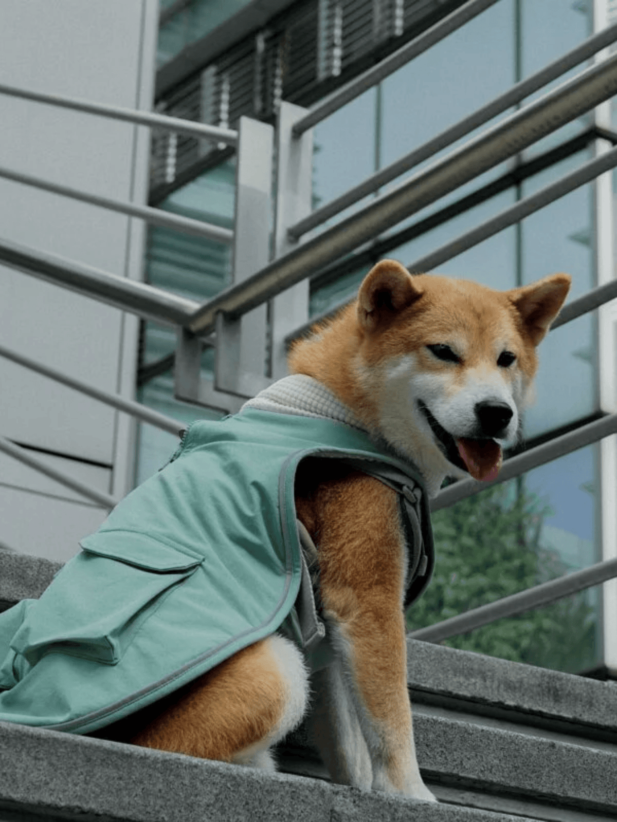 Campet | 快穿機能衣 - RUFF & FETCH