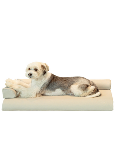 Mummur Korea | MOFM Waterproof High Stretch Pet Luxury Sofa