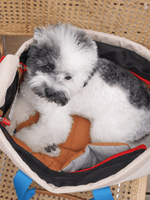 iCandor | 寵物斜背包 Peek-a-boo bag ( 預售4月底 ) - RUFF & FETCH