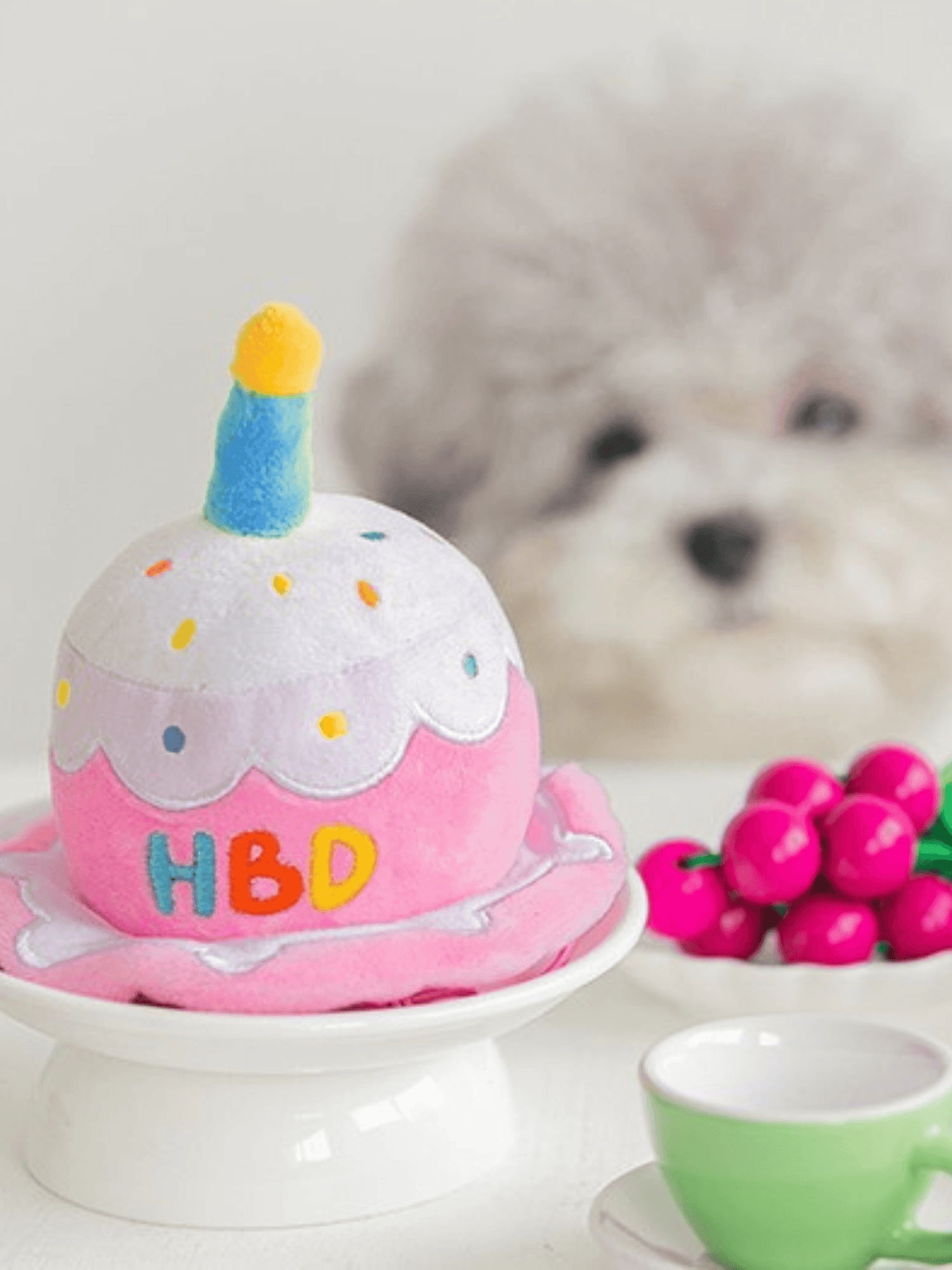 Biteme | 韓國精品 生日帽 - RUFF & FETCH