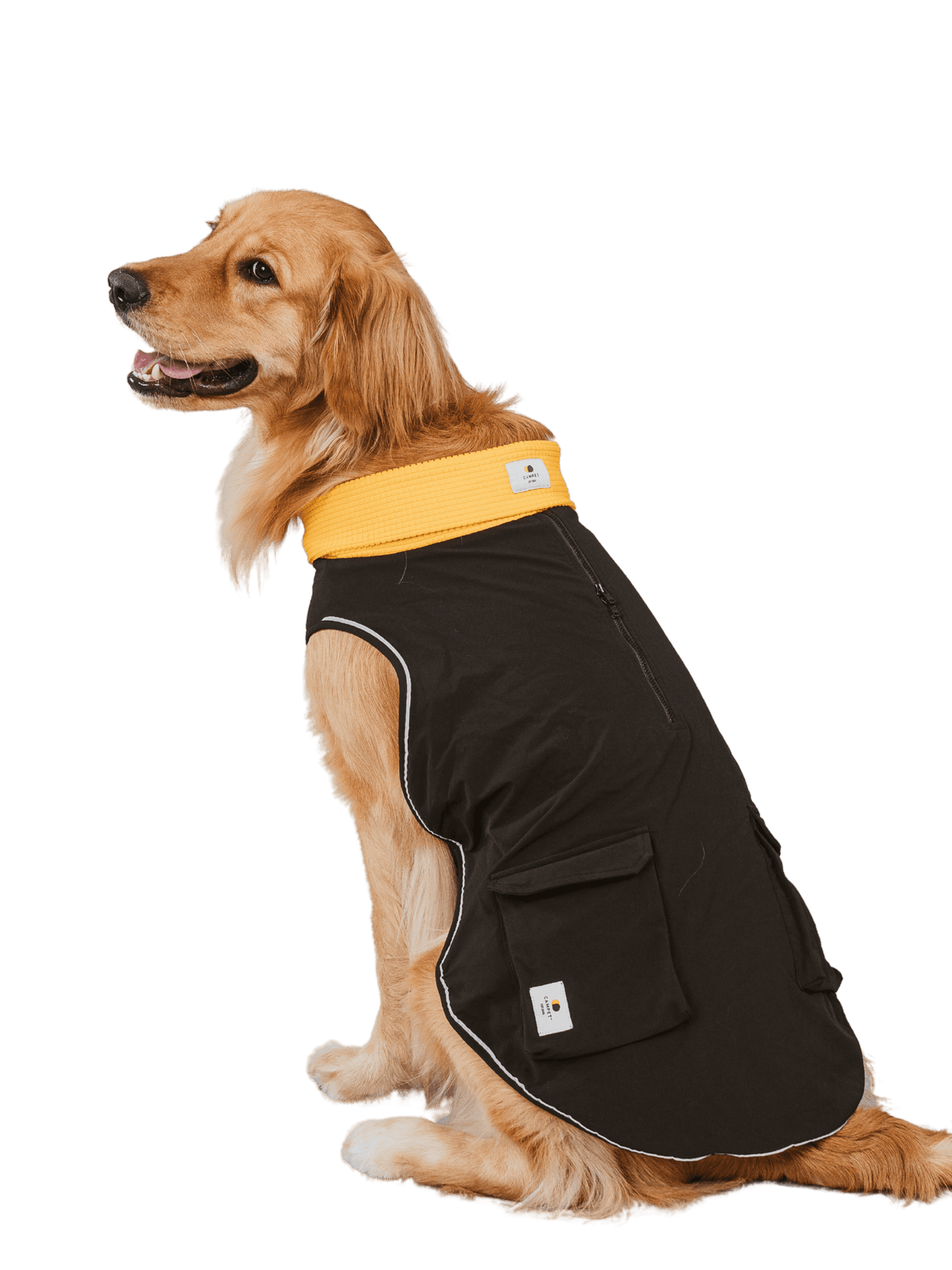 Campet | 快穿機能衣 - RUFF & FETCH