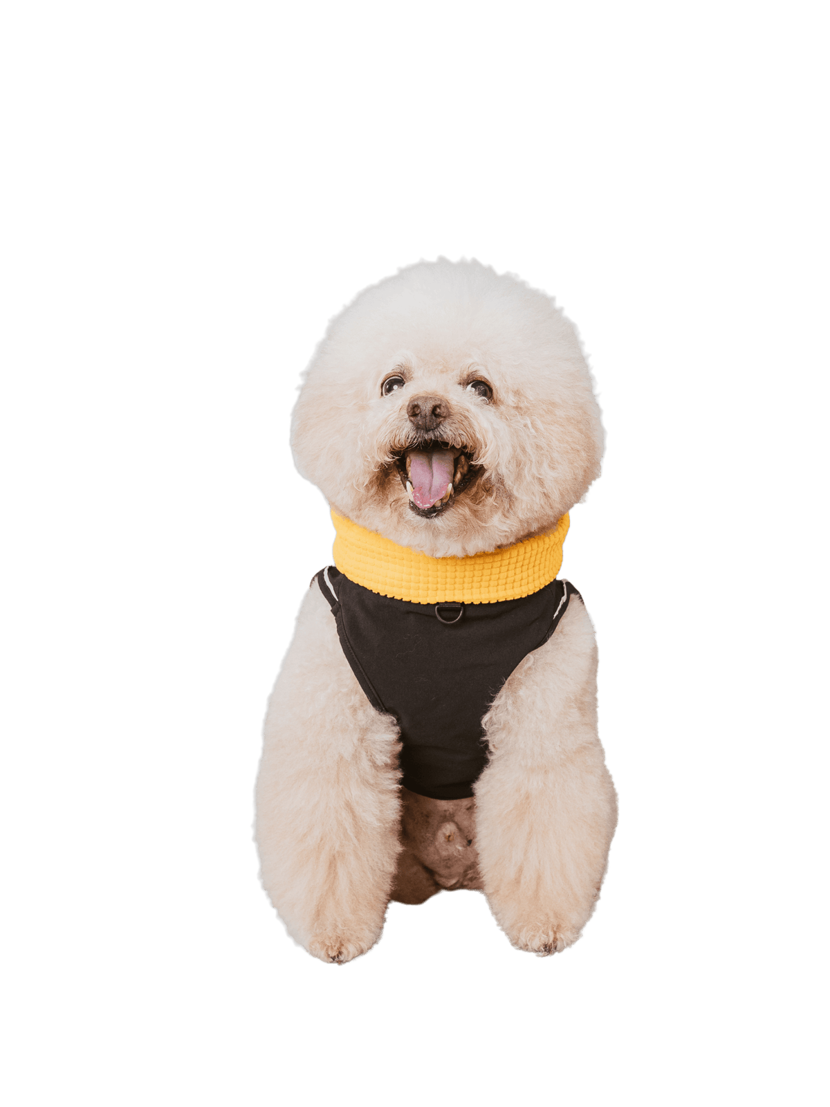 Campet | 快穿機能衣 - RUFF & FETCH