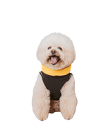 Campet | 快穿機能衣 - RUFF & FETCH