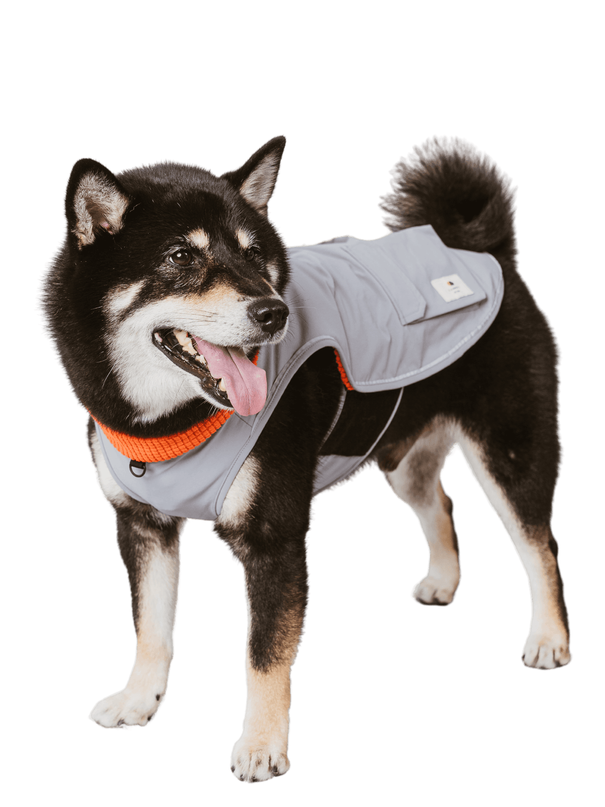 Campet | 快穿機能衣 - RUFF & FETCH