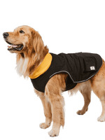 Campet | 快穿機能衣 - RUFF & FETCH