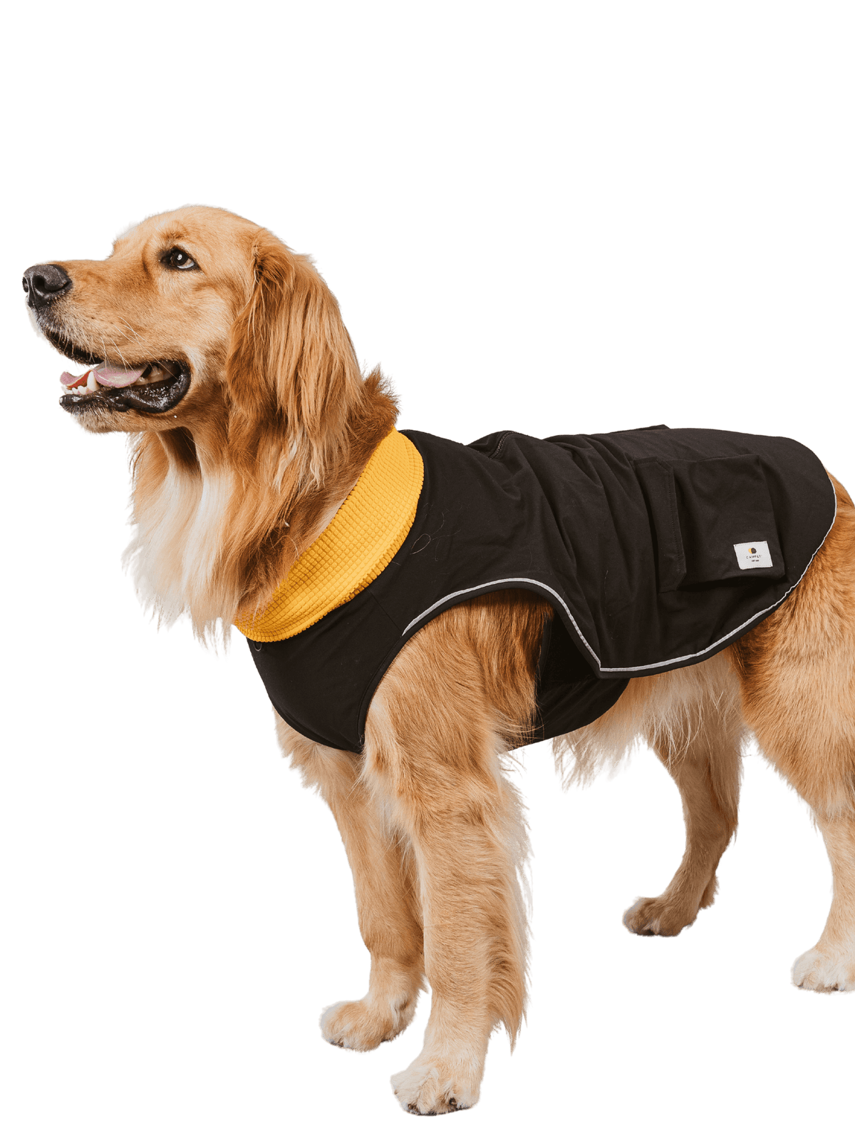 Campet | 快穿機能衣 - RUFF & FETCH
