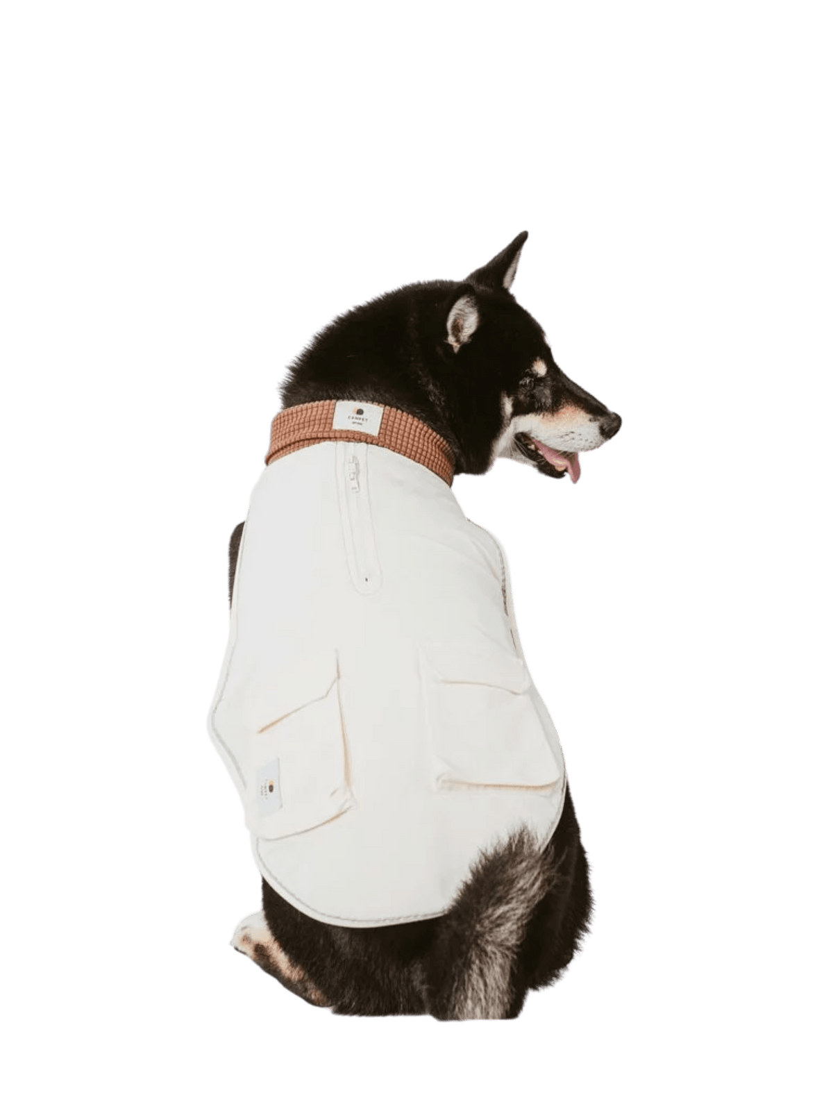 Campet | 快穿機能衣 - RUFF & FETCH