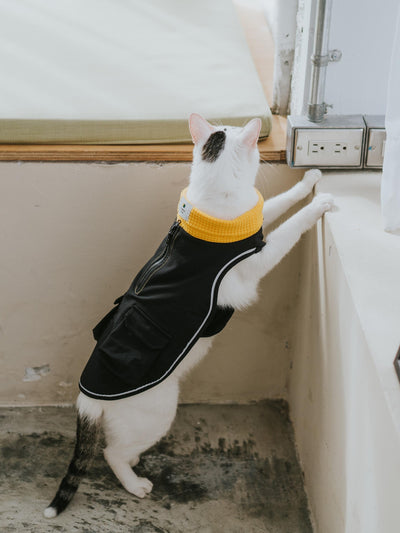 Campet | Fast wear functional clothing (for cats)