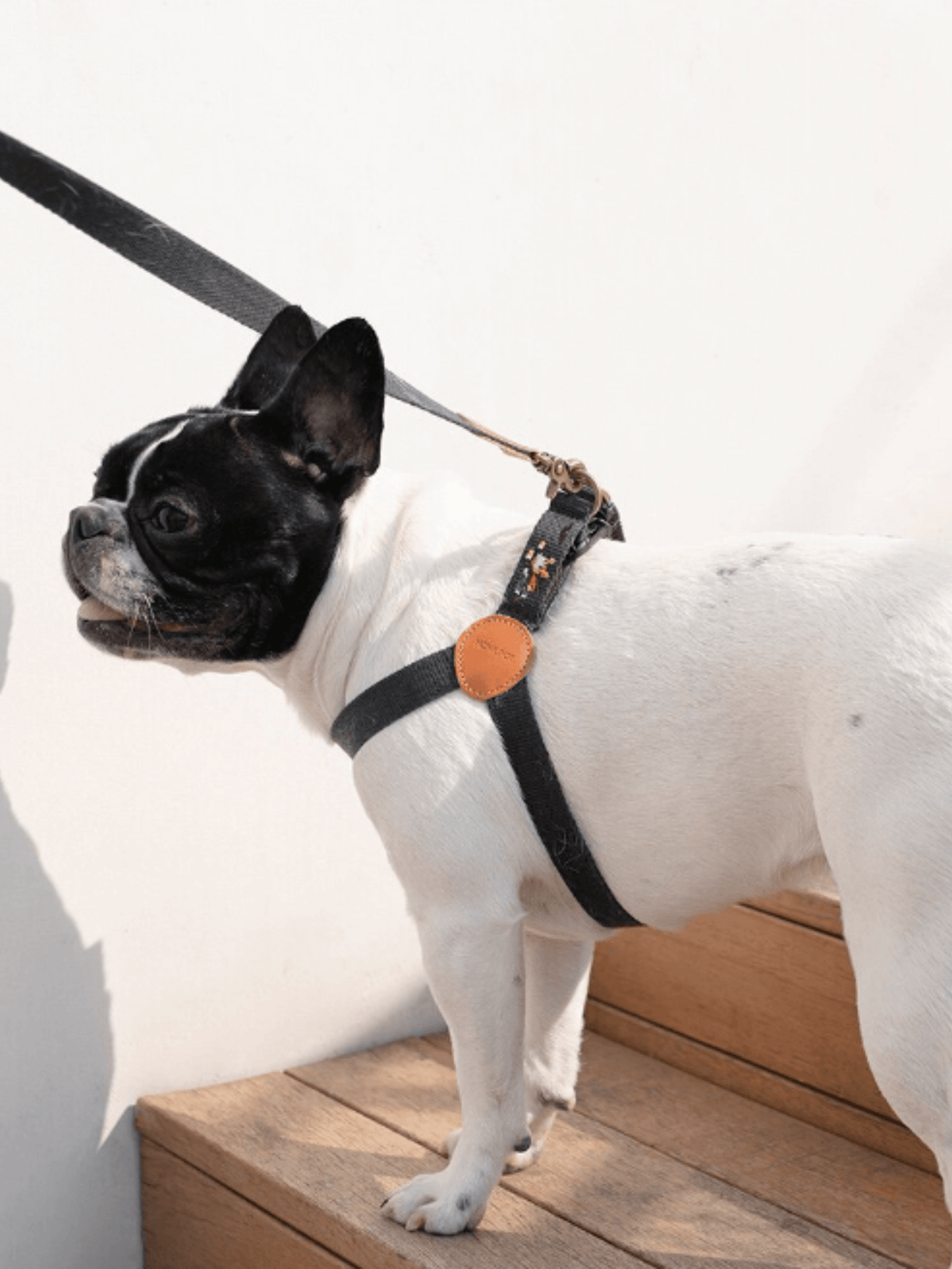 Howlpot | Adventure 系列狗狗胸帶 - RUFF & FETCH