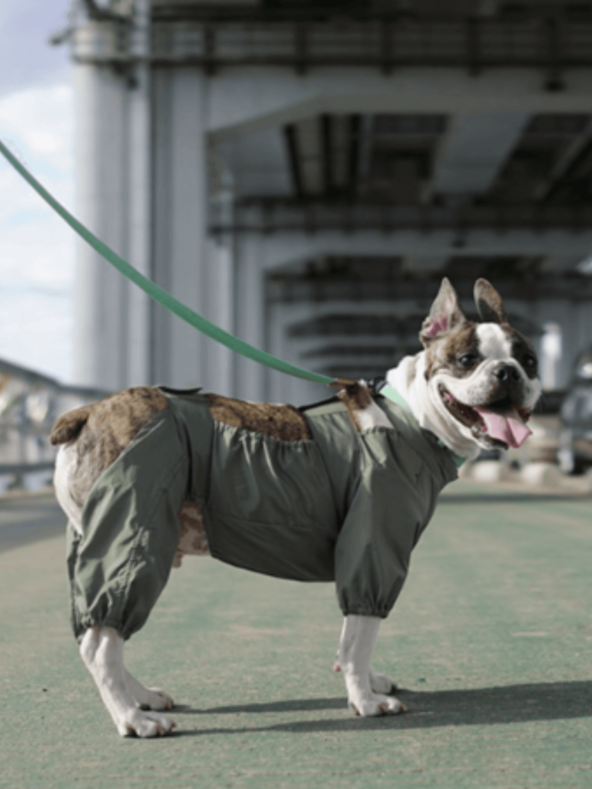 Howlpot | 狗狗外出防污散步裝 - RUFF & FETCH