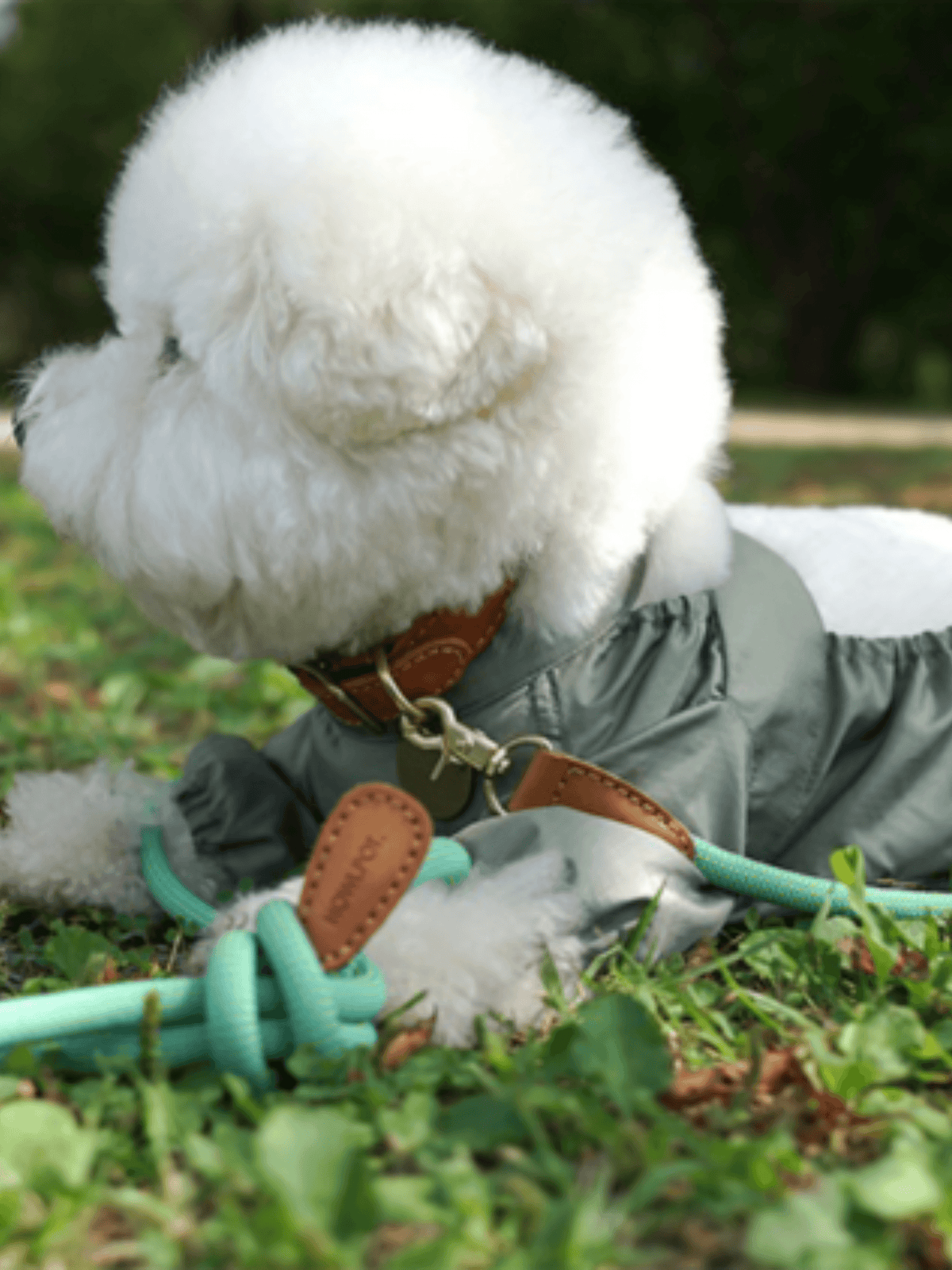 Howlpot | 狗狗外出防污散步裝 - RUFF & FETCH