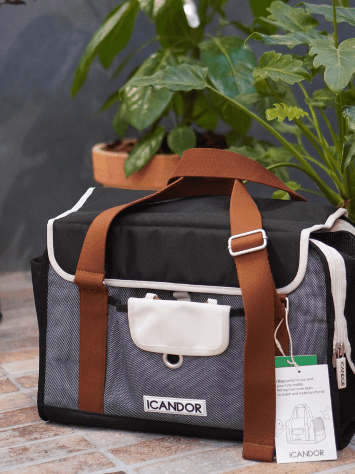 iCandor | 寵物外出包 iBag ( 預售4月底 ) - RUFF & FETCH