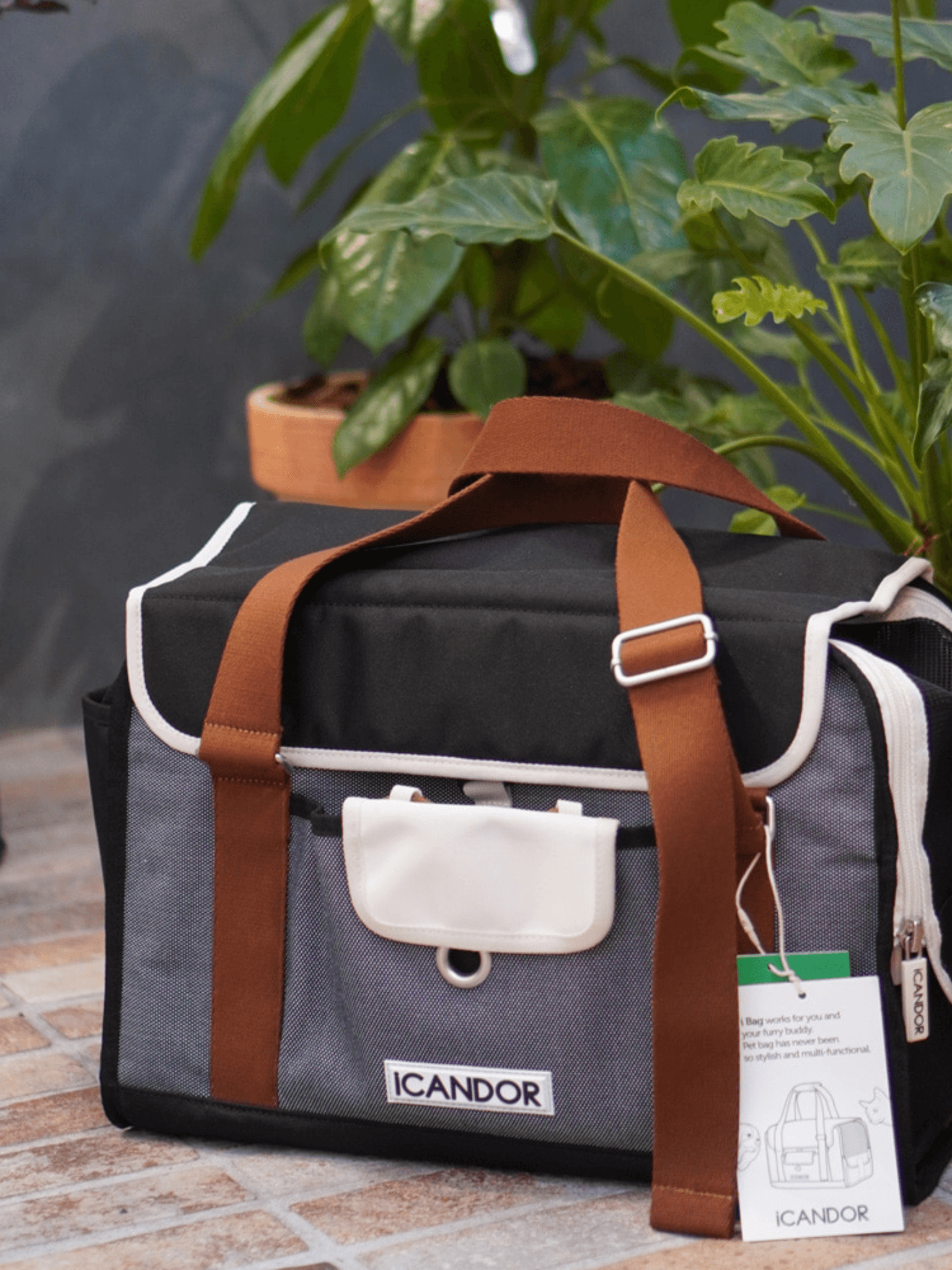 iCandor | 寵物外出包 iBag ( 預售4月底 ) - RUFF & FETCH