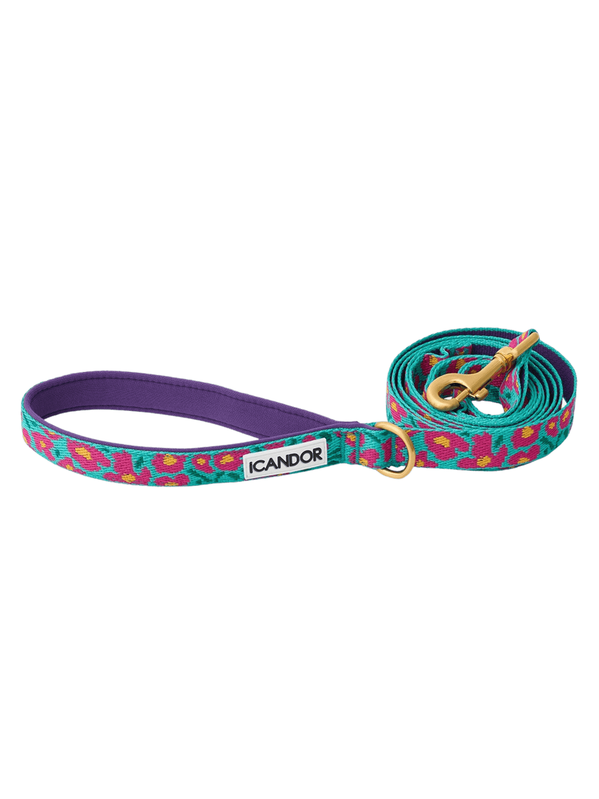 iCandor | Gentle Leash 牽繩 - RUFF & FETCH