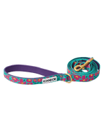 iCandor | Gentle Leash 牽繩 - RUFF & FETCH