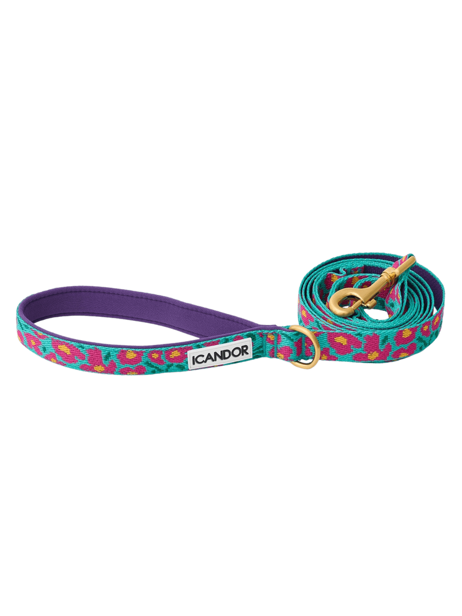 iCandor | Gentle Leash 牽繩 - RUFF & FETCH