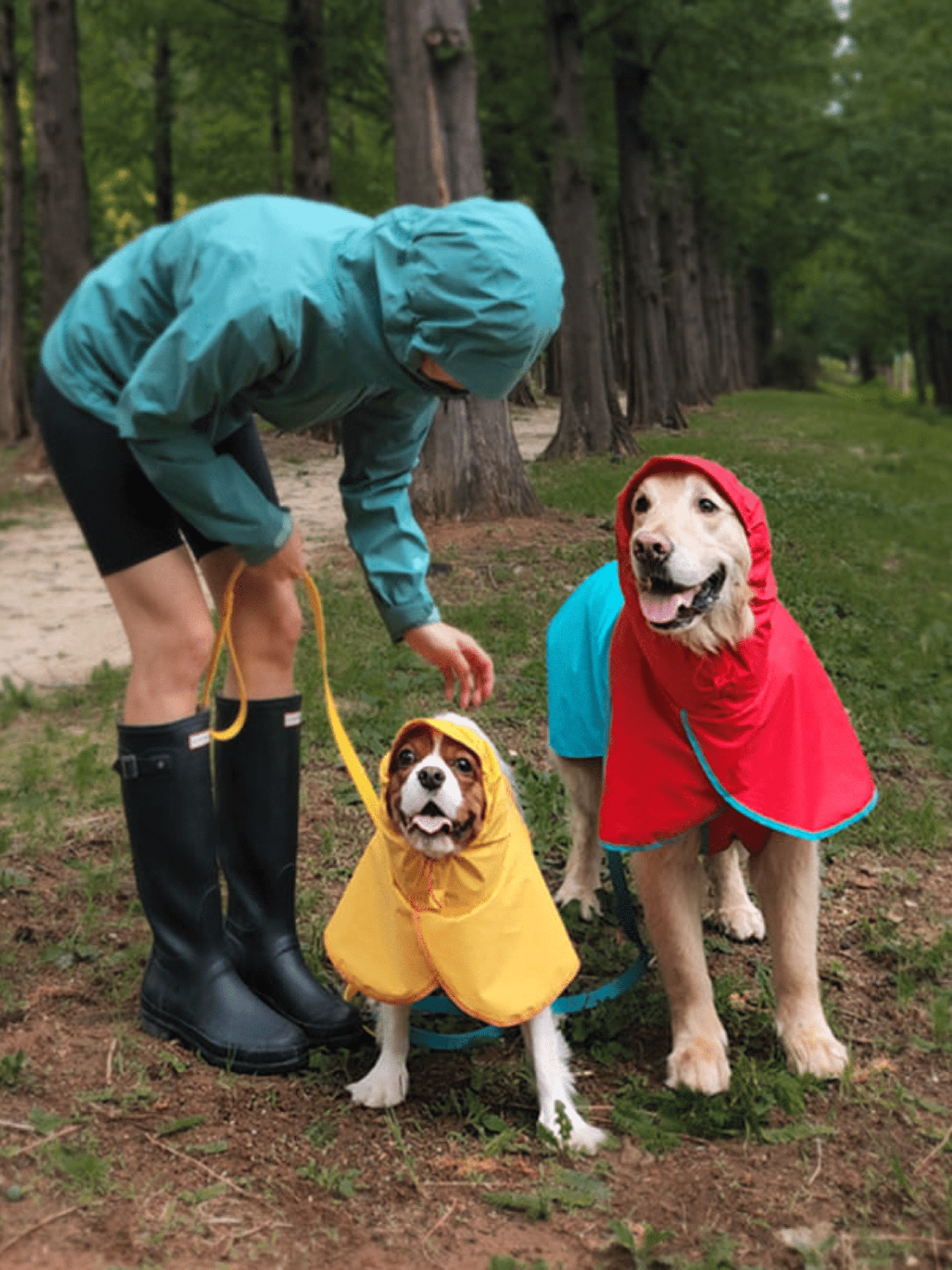 iCandor | Earth Adventure Dog Raincoat