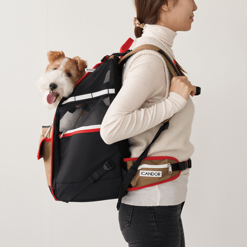 iCandor｜透氣堅挺寵物背包 Jige Bag ( 預售4月底 ) - RUFF & FETCH