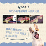Signatureby ｜韓國口腔護理羊奶產品 StomoAct Oramune - RUFF & FETCH