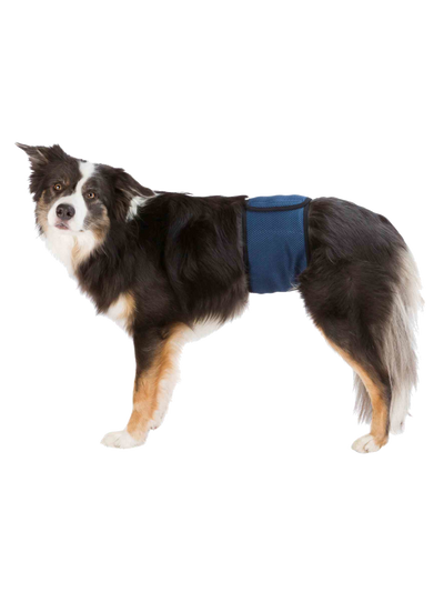 Trixie | 公犬重複使用禮貌褲
